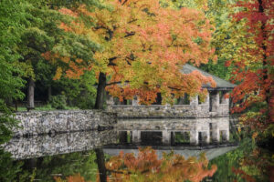 Tilley Pond Park