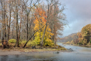 Housatonic Autumn