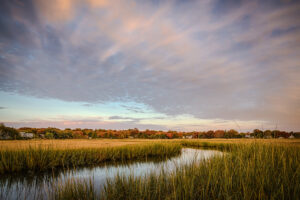 Old Field Salt Marsh