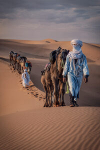 Camel Train
