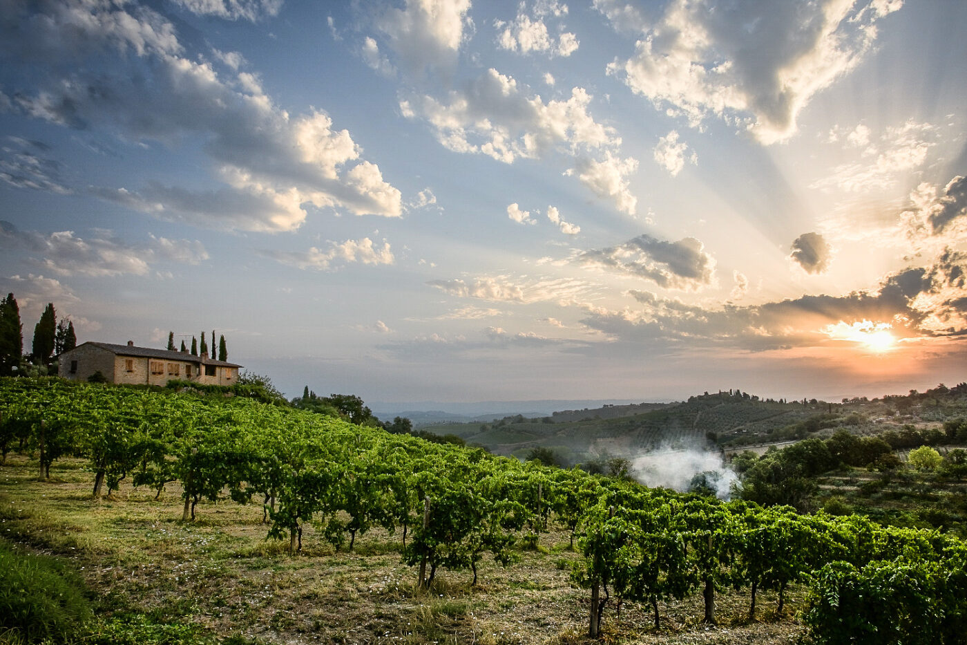 Tuscan-Vineyard-at-Sunset