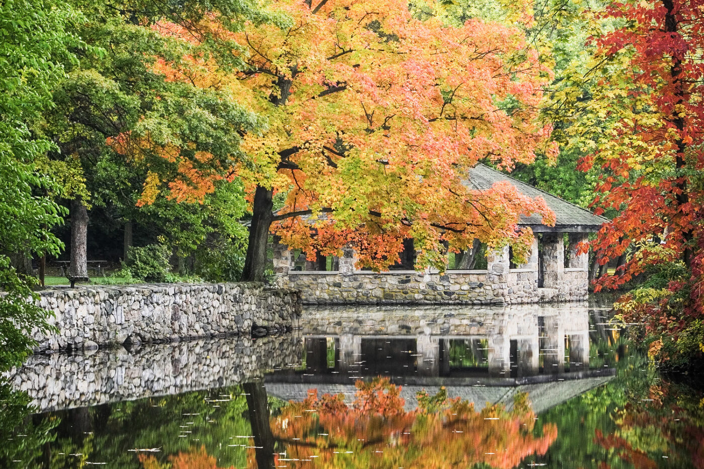 Autumn's-Stone-Sanctuary
