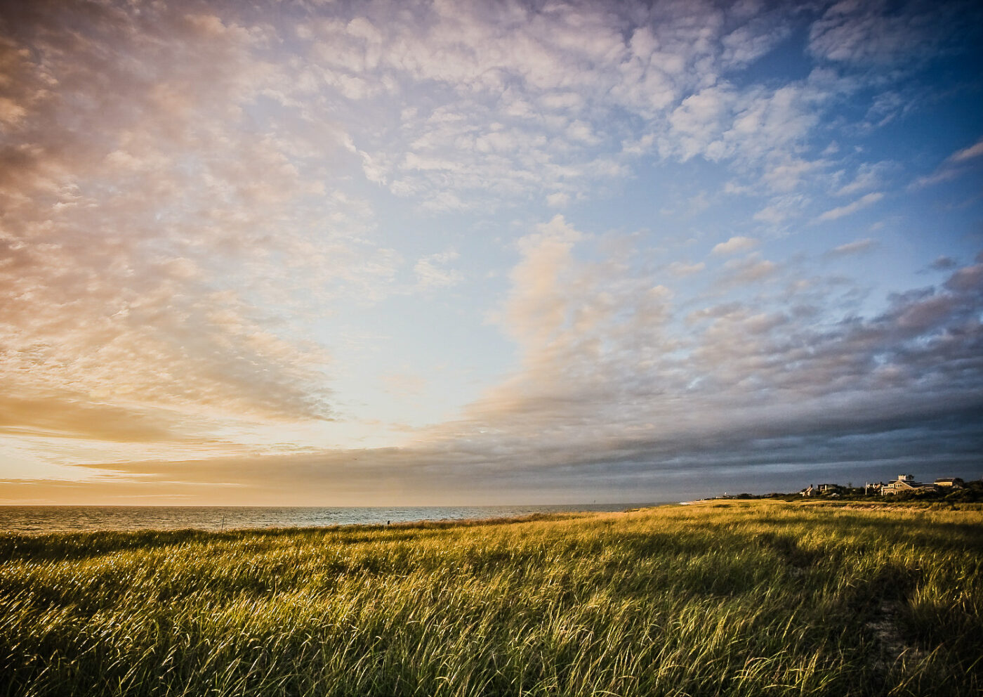 Golden-Marsh-Meets-Ocean