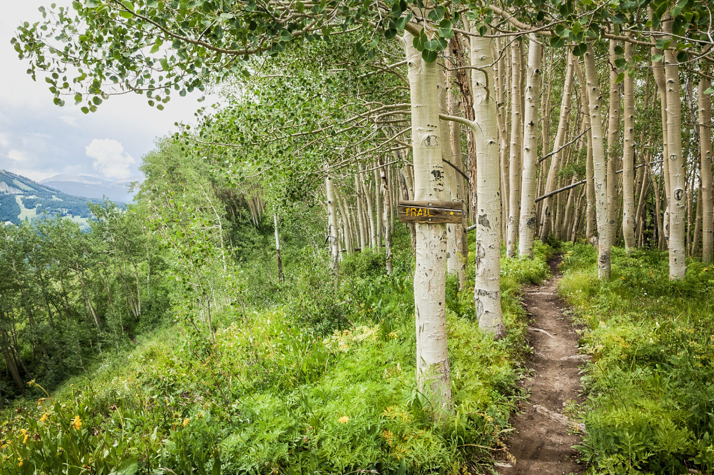 Aspen-Grove-Trail-Marker