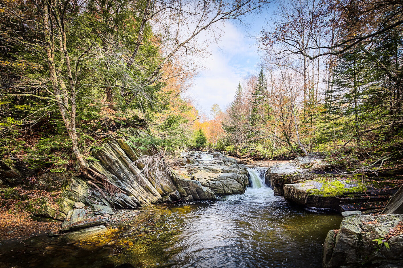 Autumn-Stream-Through-Forest