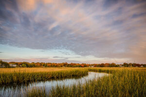 Old Field Salt Marsh