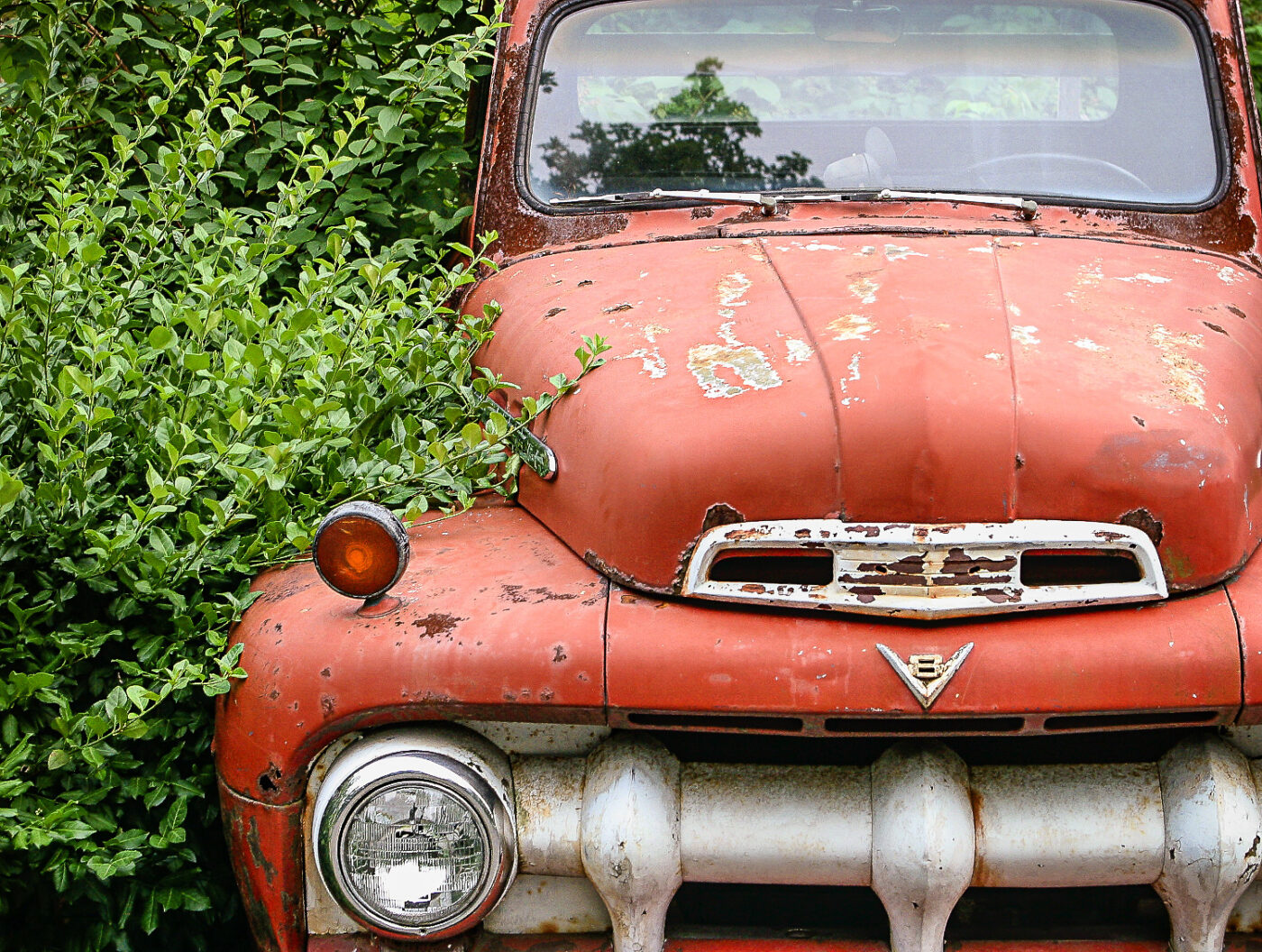 Rust-Reclaimed-by-Nature