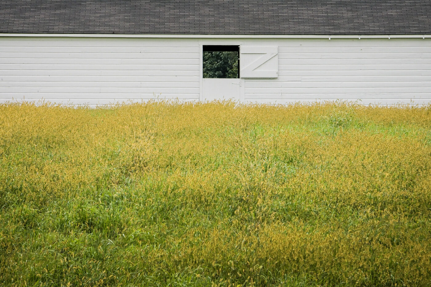 Grain-Field-Isolation