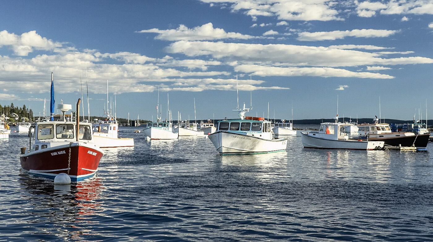 Moored-Vessels-Harbor-Serenity