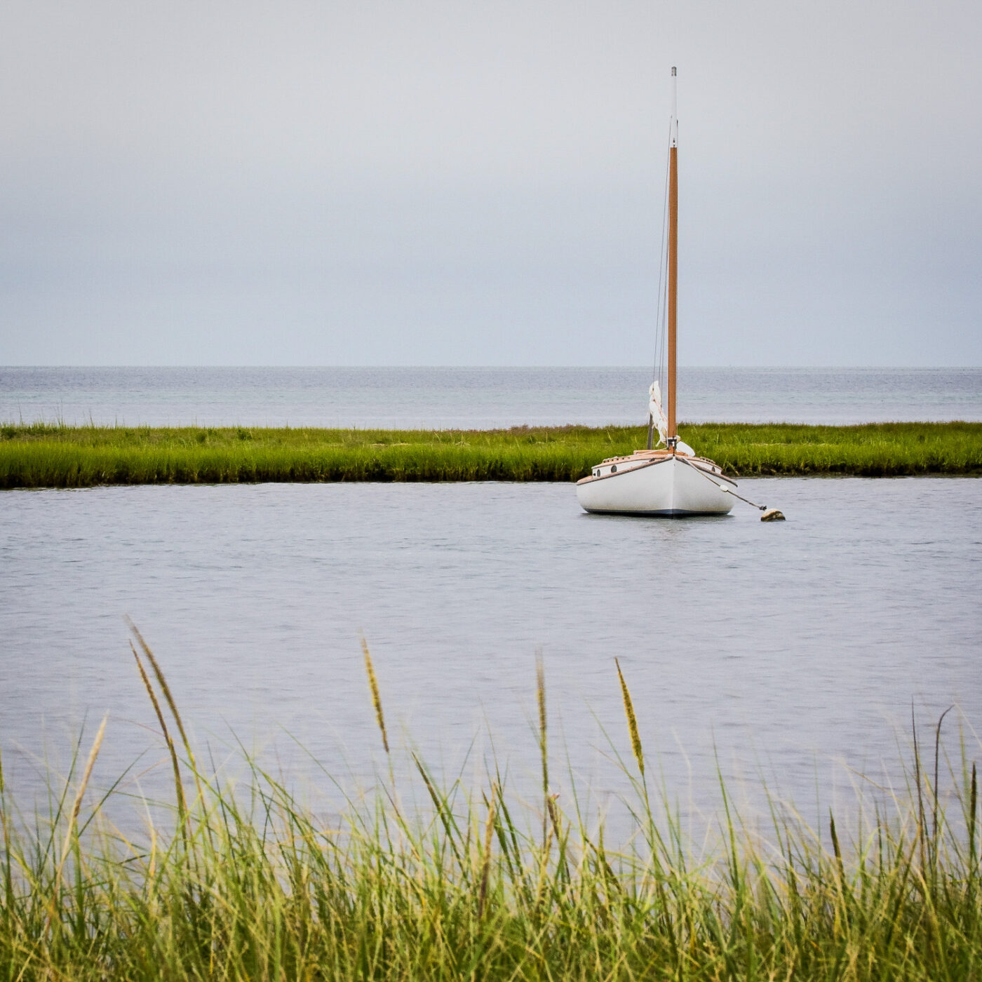 Moored-Sailboat-Salt-Marsh