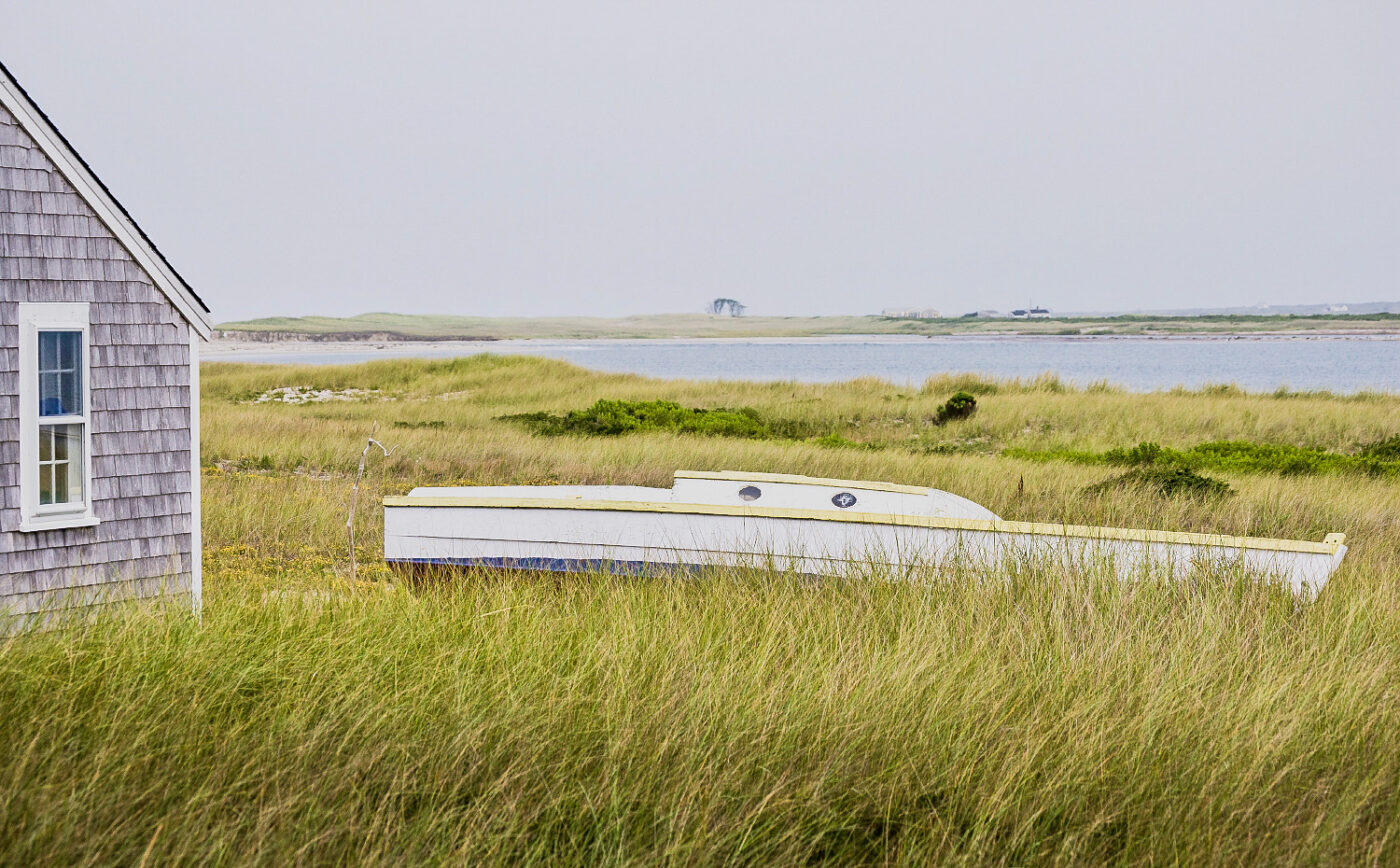 Coastal-Marsh-Solitude