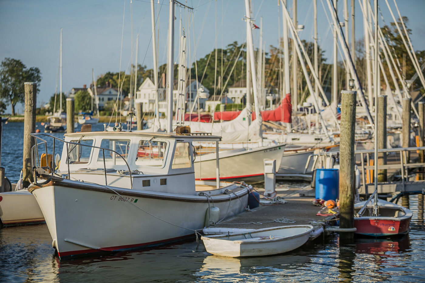 Moored-Sailboats-Harbor-Rest