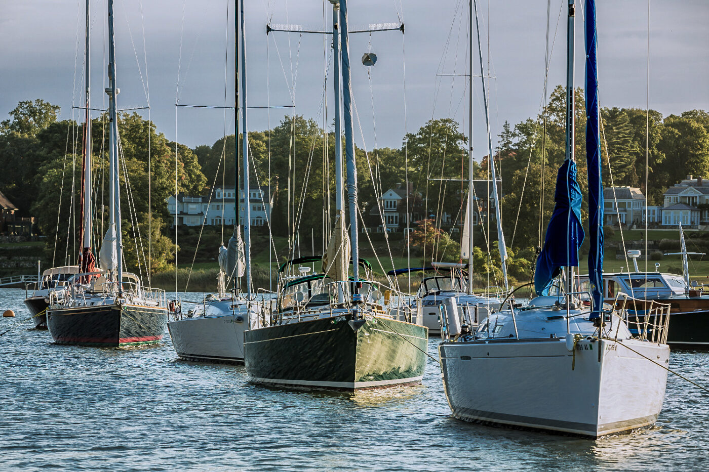 Moored-Sailboats-at-Rest