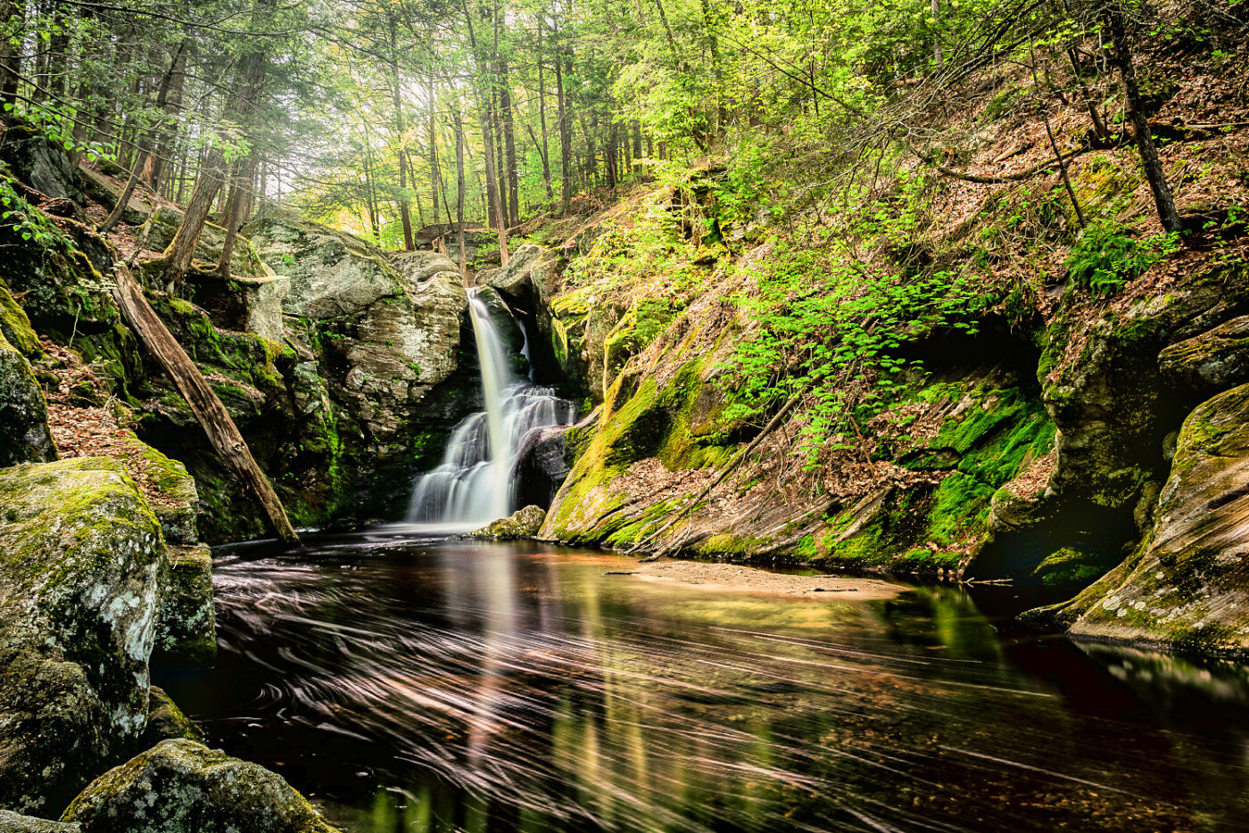 Forest-Waterfall-Cascades-Serenely
