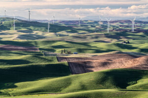 View from Steptoe Butte