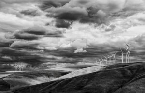 Wind on the Palouse