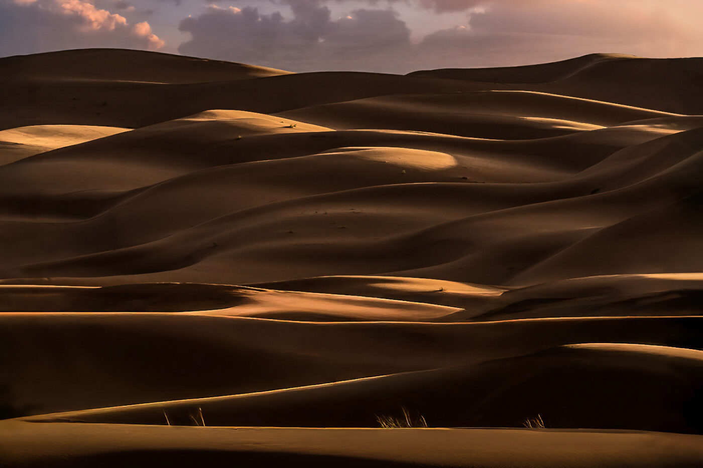 Golden-Dunes-at-Dusk