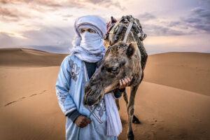 Camel Driver